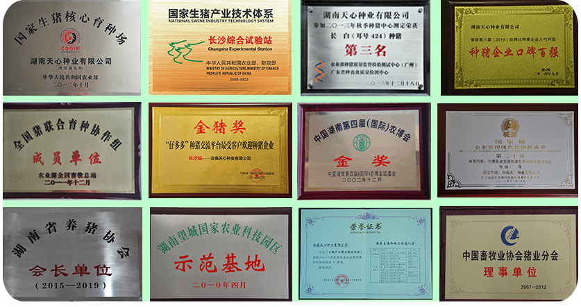 資質(zhì)榮譽