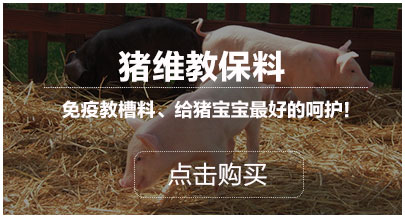 豬維教保料
