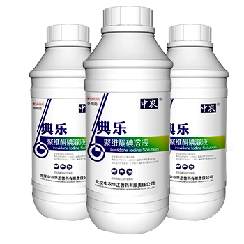 典樂(lè)
