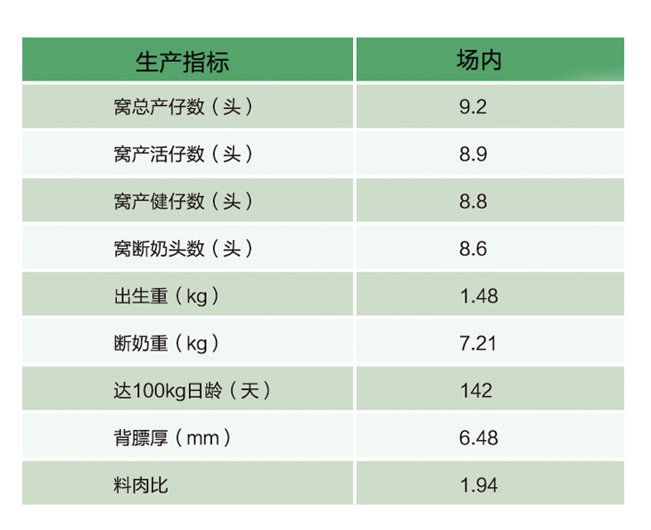 買種豬，皮特蘭種豬，種公豬