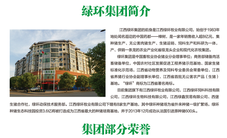買種豬，皮特蘭種豬，種公豬